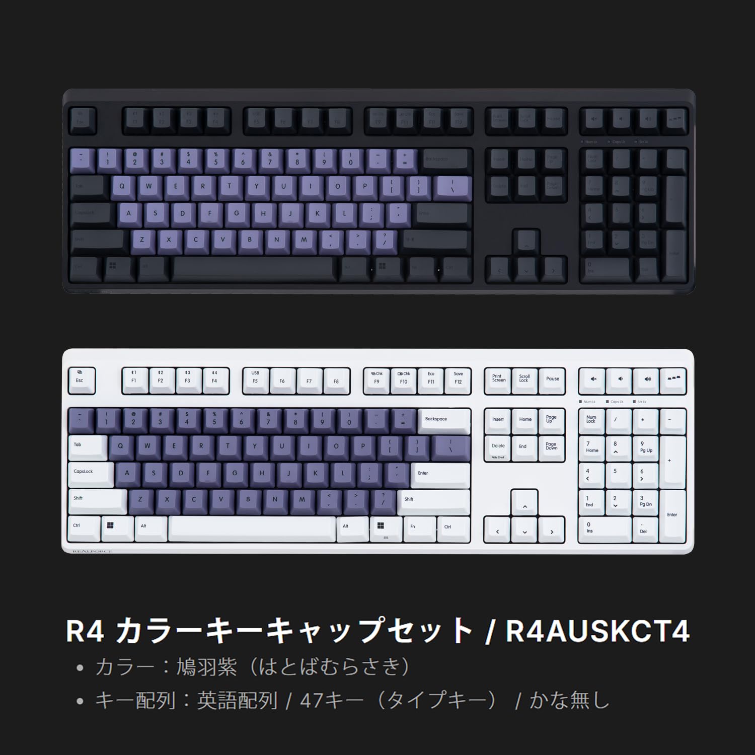 REALFORCE R4 日本語カナ無し フルサイズ　パームレストセット キーボード REALFORCE R4 45g荷重・テンキーレス 日本語かななし(Mac
